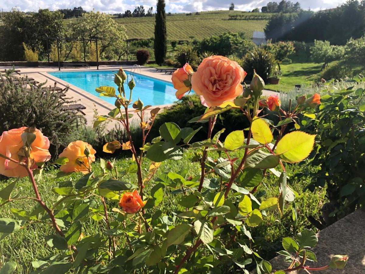 Quinta Da Pereira E Enricas Agro-Turismo Hotel Vila Flor Luaran gambar