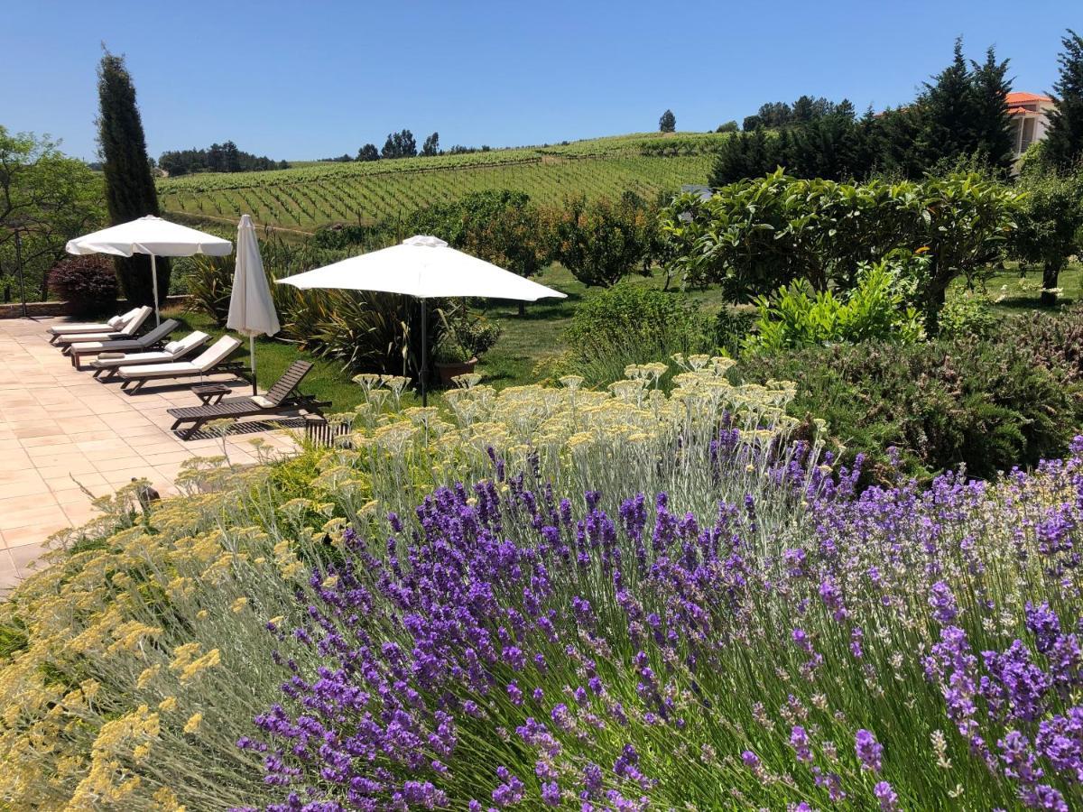 Quinta Da Pereira E Enricas Agro-Turismo Hotel Vila Flor Luaran gambar