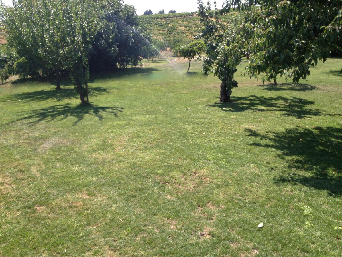 Quinta Da Pereira E Enricas Agro-Turismo Hotel Vila Flor Luaran gambar