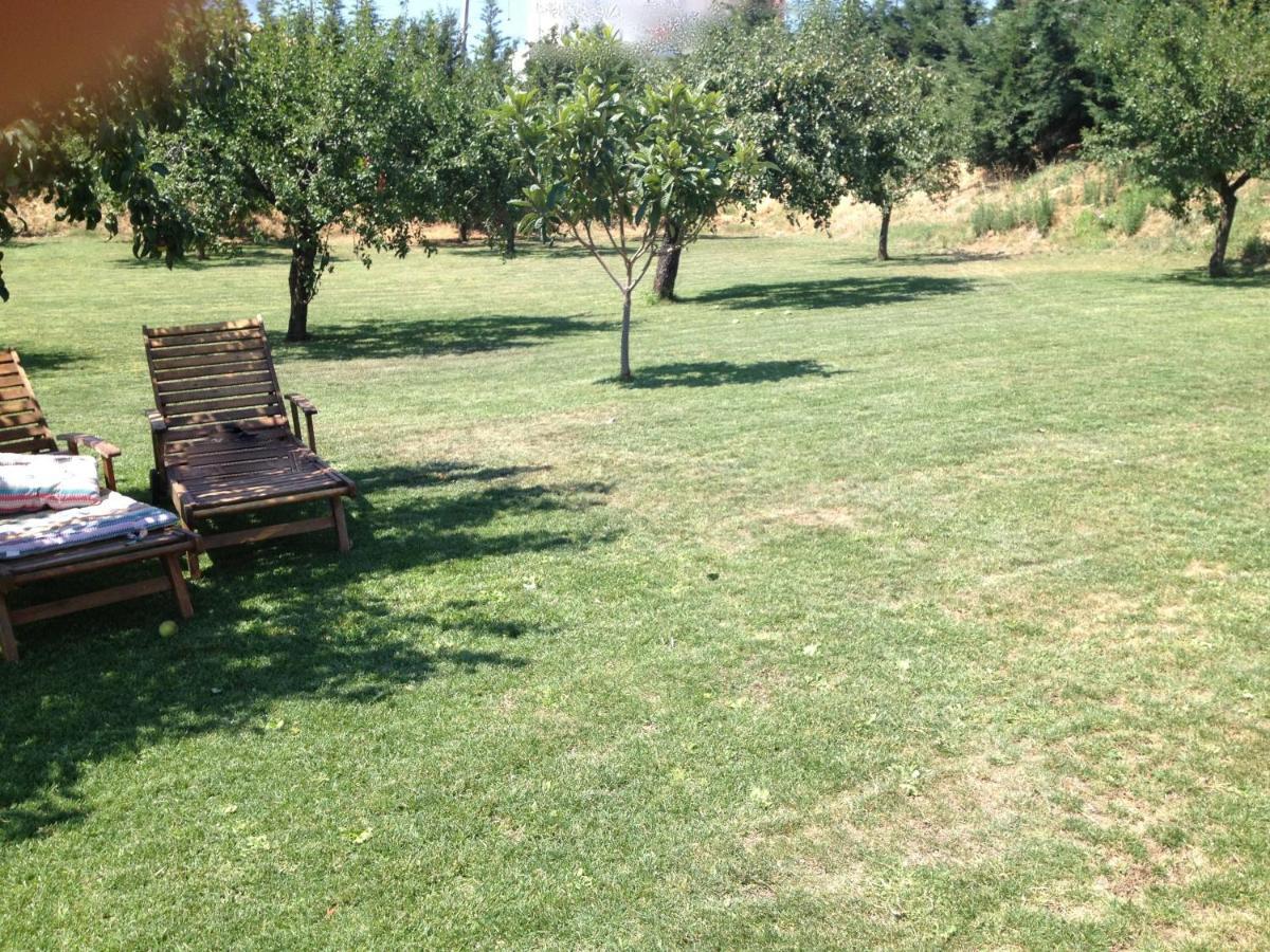 Quinta Da Pereira E Enricas Agro-Turismo Hotel Vila Flor Luaran gambar